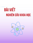 Tổng hợp dẫn xuất quinolizine - chalcone: Tổng hợp và ứng dụng