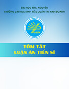 Phát triển doanh nghiệp du lịch nhỏ và vừa vùng đồng bằng sông Cửu Long: Tóm tắt Luận án Tiến sĩ