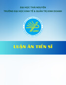 Phát triển doanh nghiệp du lịch nhỏ và vừa vùng đồng bằng sông Cửu Long: Luận án Tiến sĩ