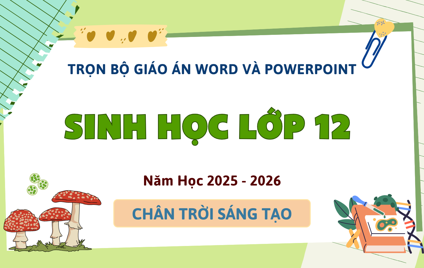 Trọn Bộ Giáo Án Word & PowerPoint Sinh Học 12 – Chân Trời Sáng Tạo – Năm Học 2025-2026