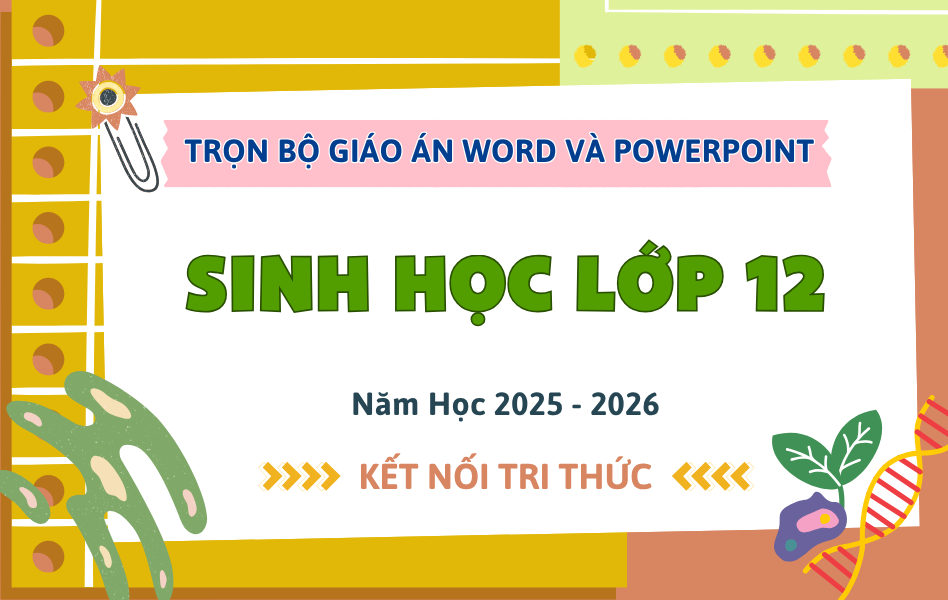 Trọn Bộ Giáo Án Word & PowerPoint Sinh Học 12 – Kết Nối Tri Thức – Năm Học 2025-2026
